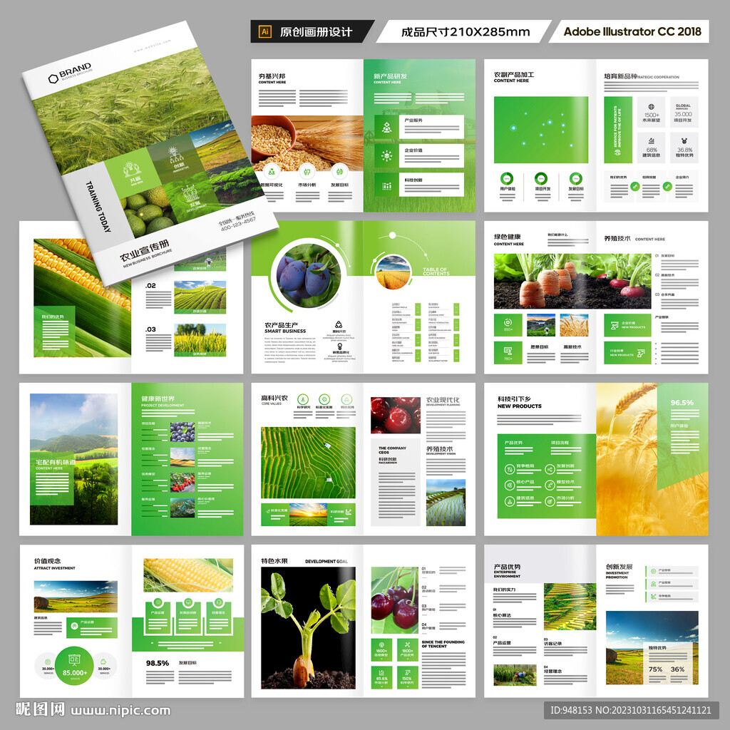 绿色农业画册