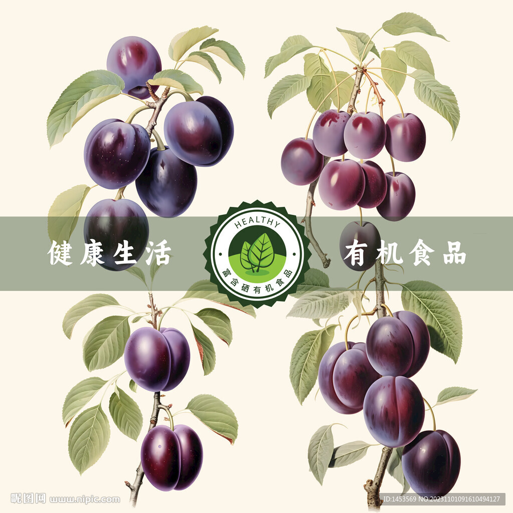 西梅