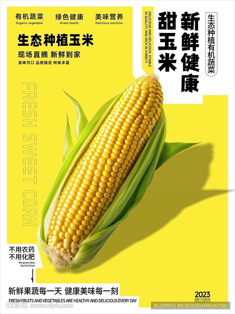 玉米