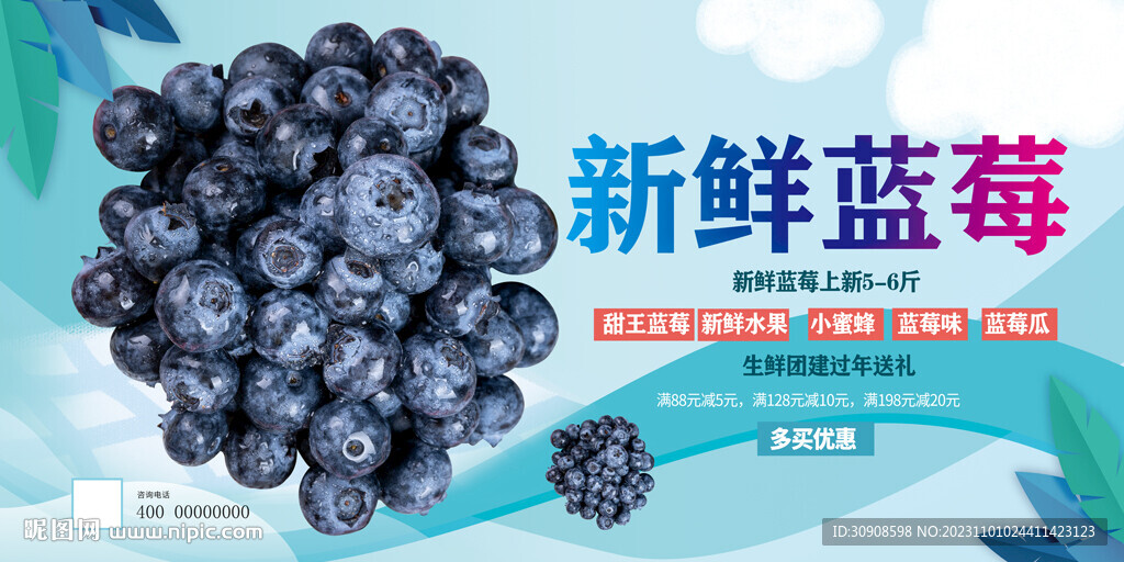 蓝莓