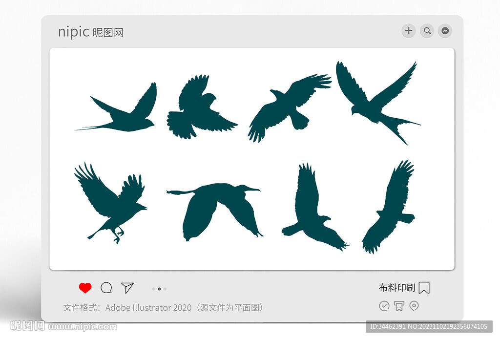 鸟轮廓