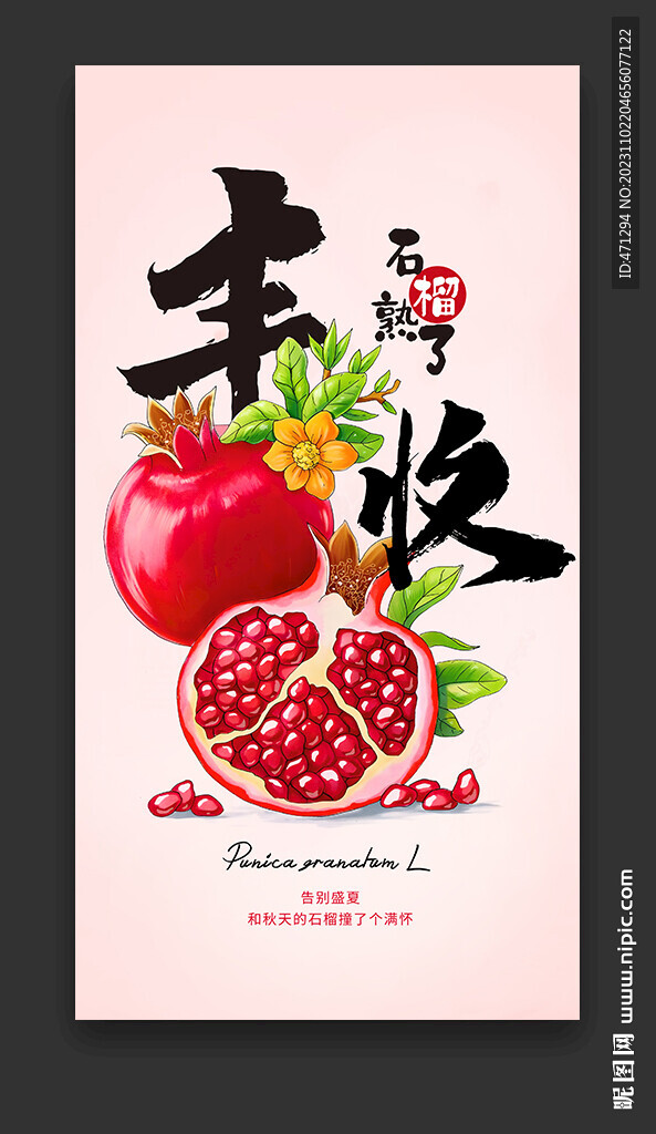 石榴海报