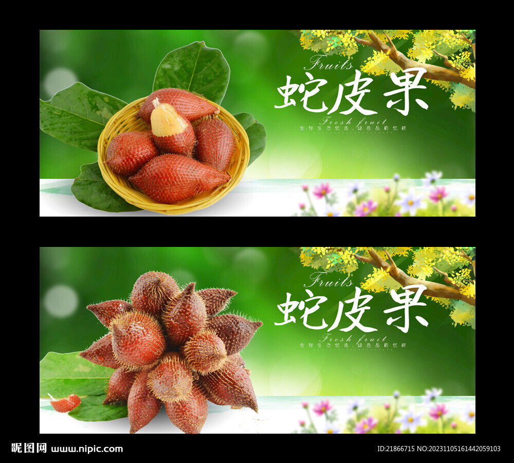 蛇皮果