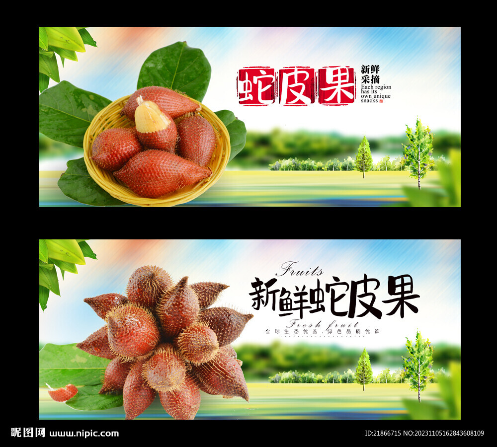 蛇皮果