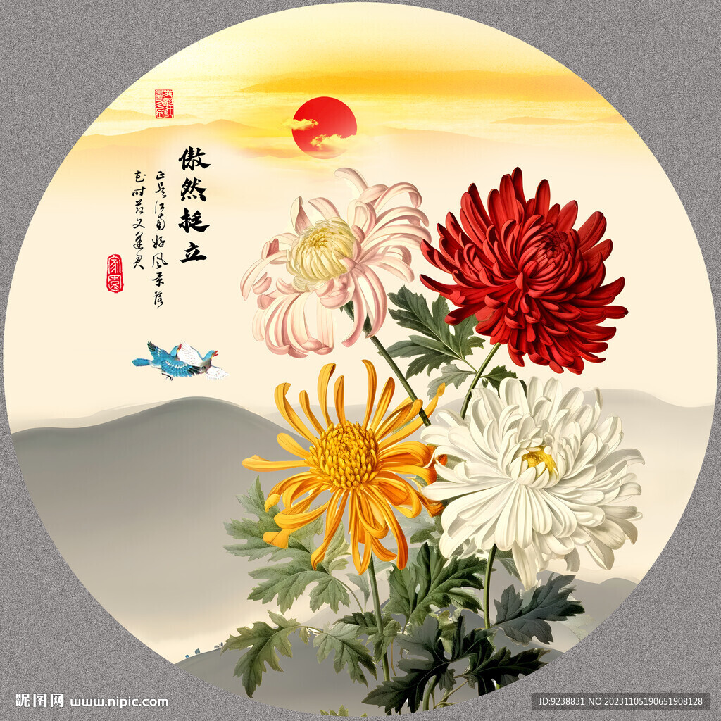 菊花