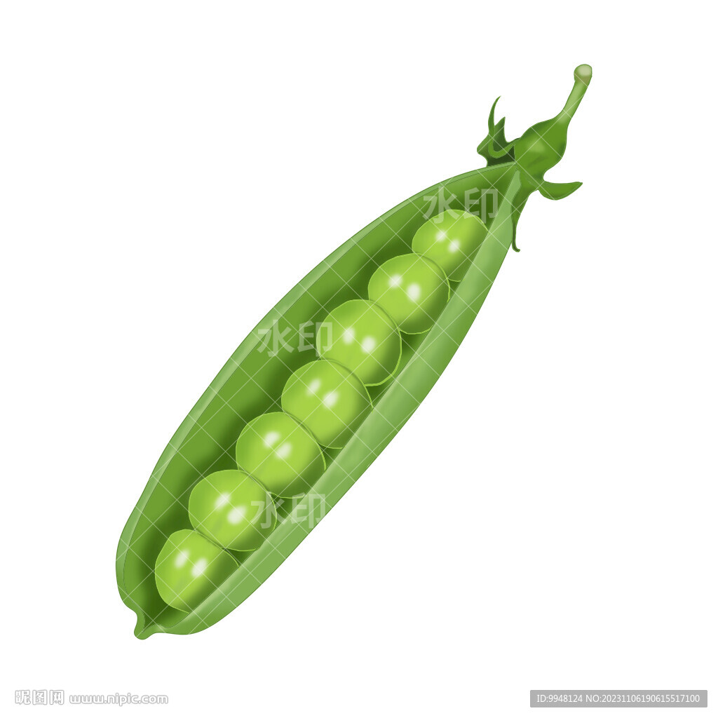 蔬菜豌豆手绘卡通插画