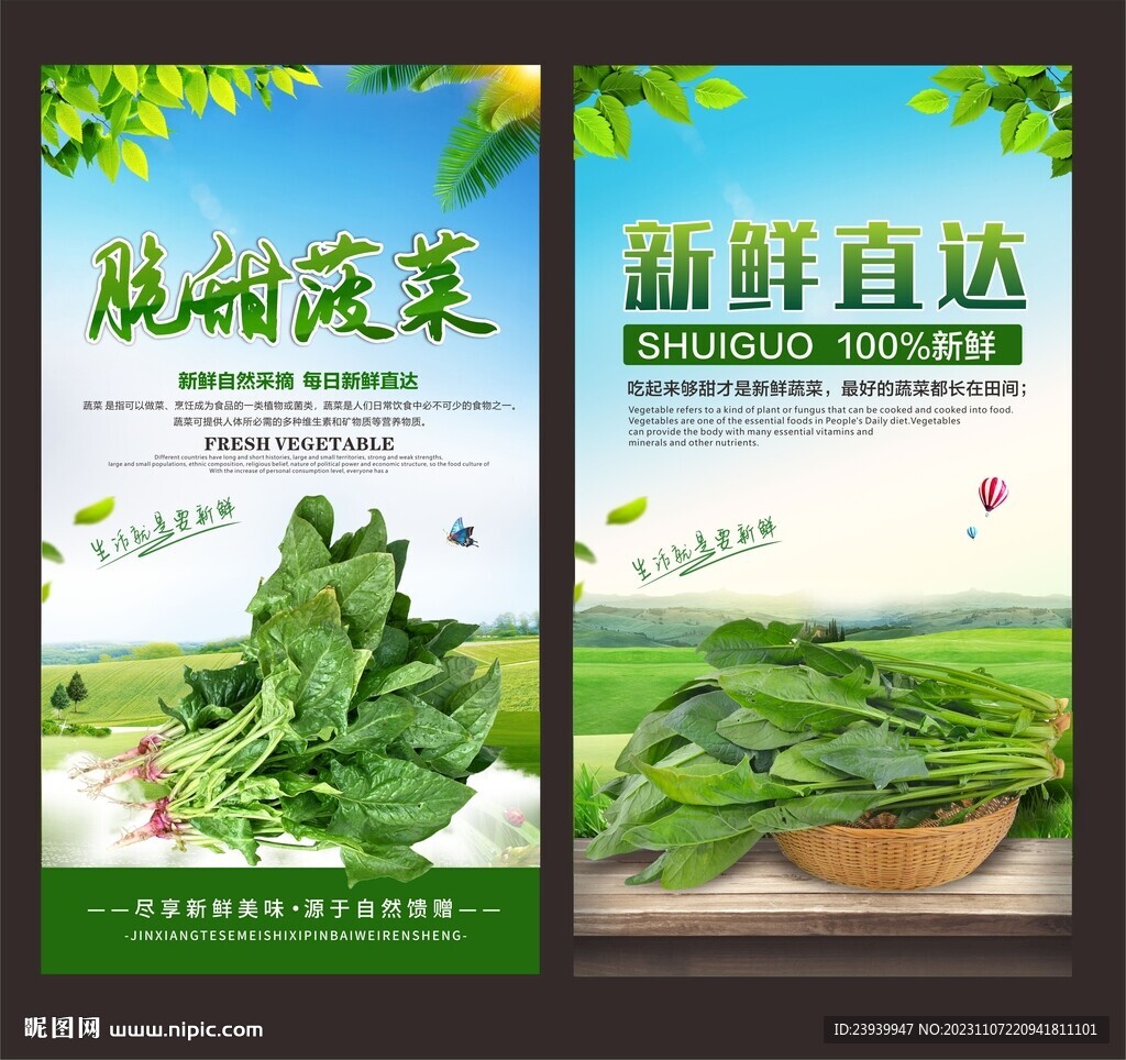 菠菜