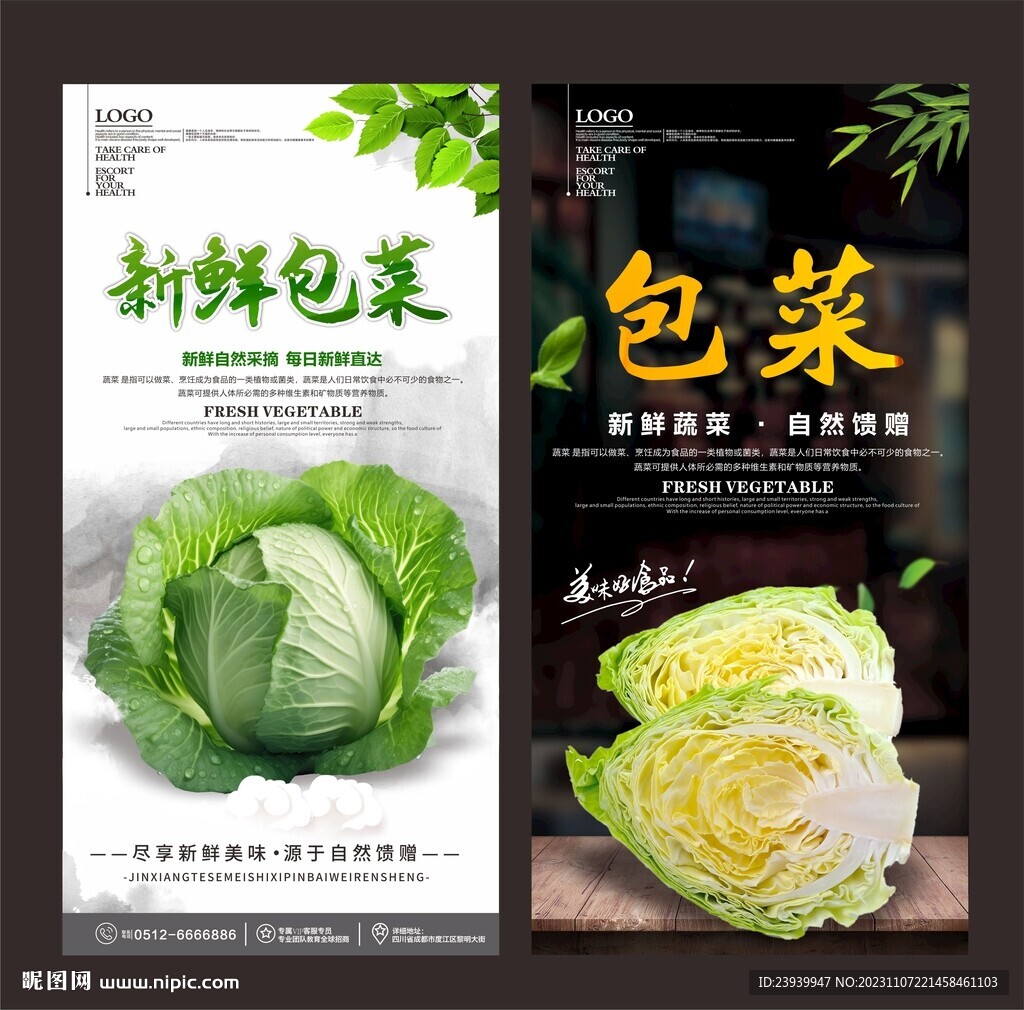 包菜