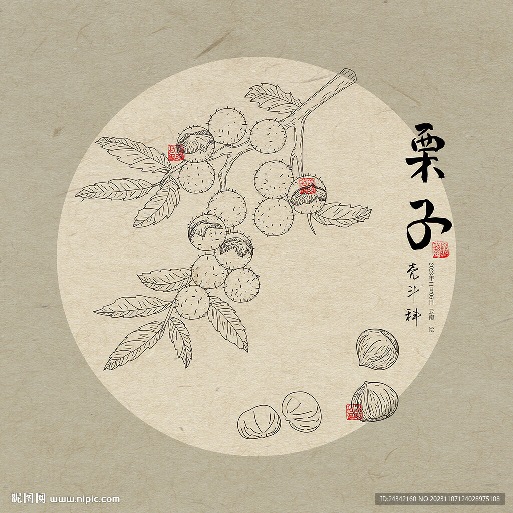 手绘栗