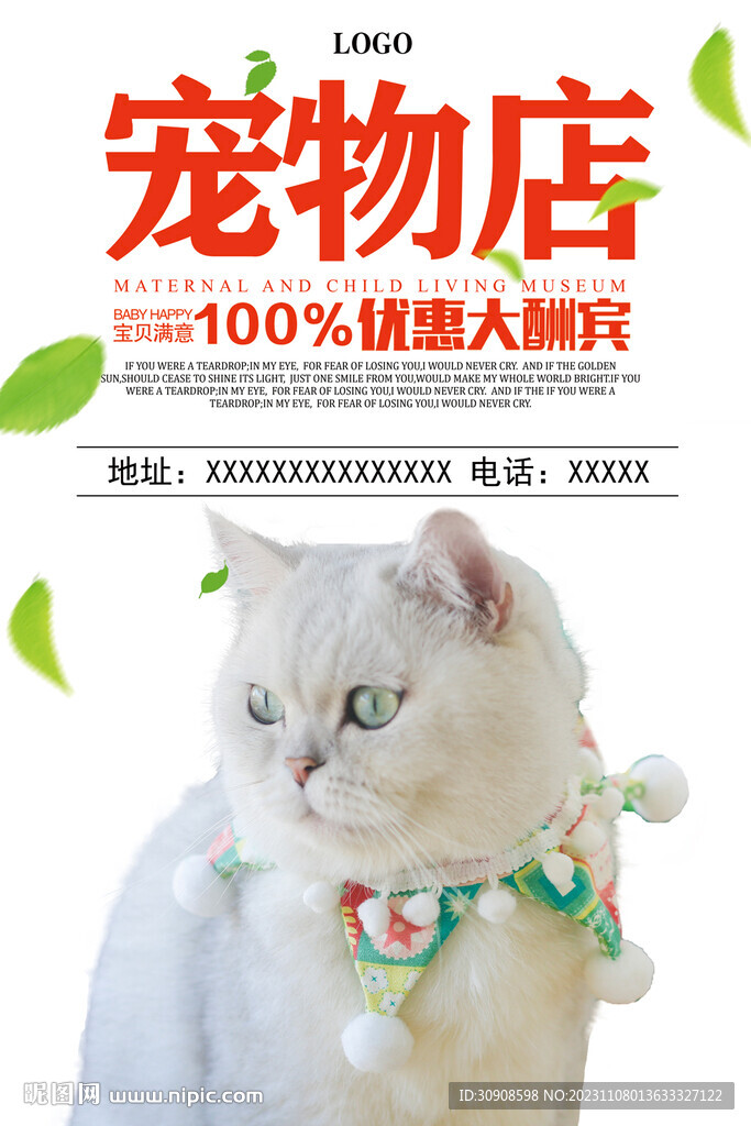 宠物