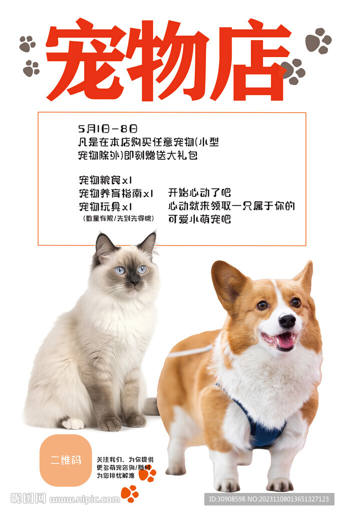 宠物