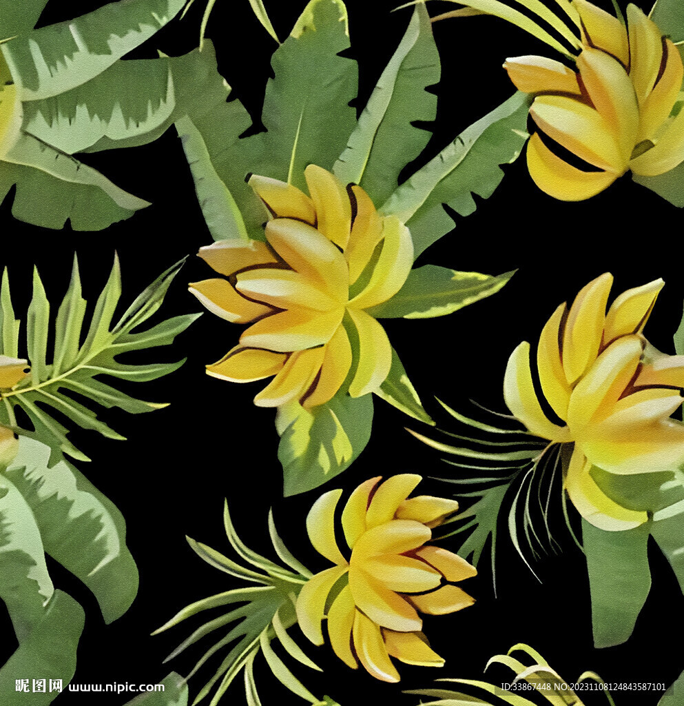 芭蕉花