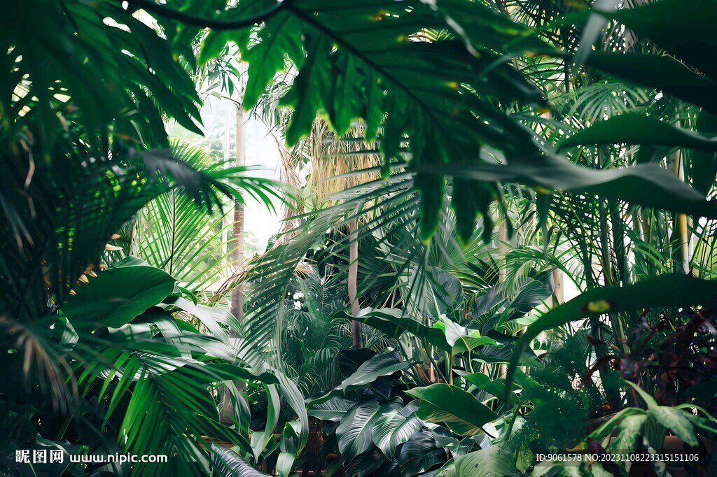森林植物背景