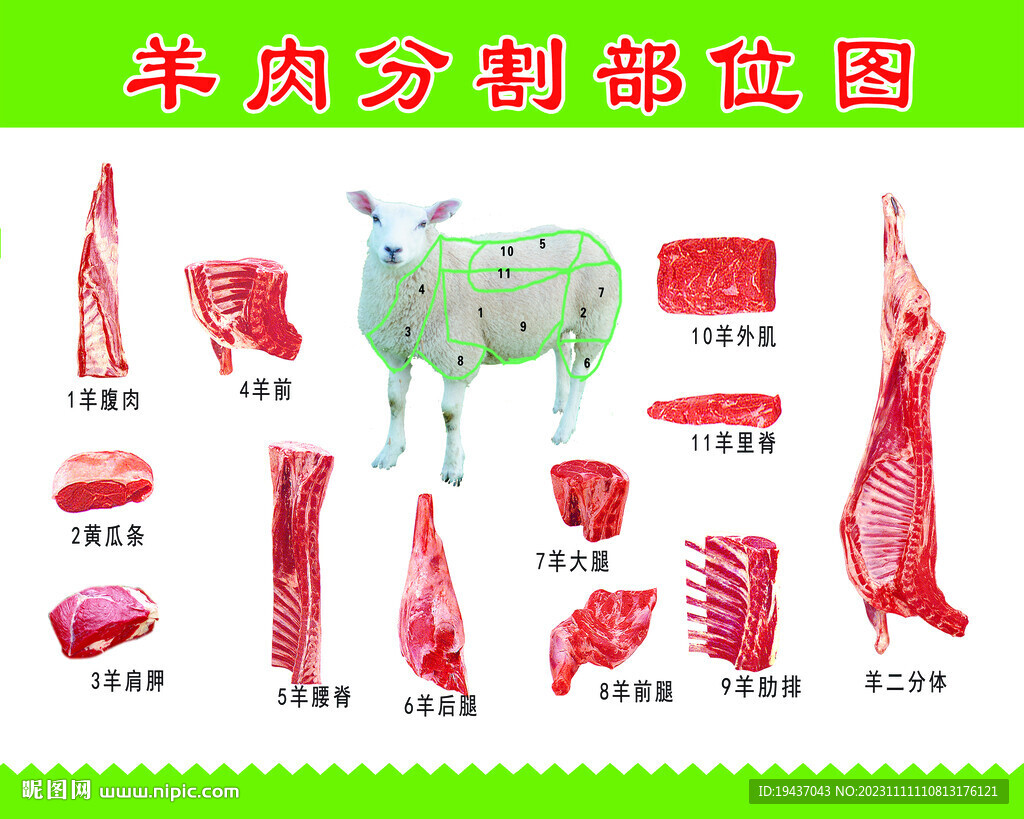 牛肉羊肉分解分割部位高清图设计图__广告设计_广告设计_设计图库_昵图网nipic.com