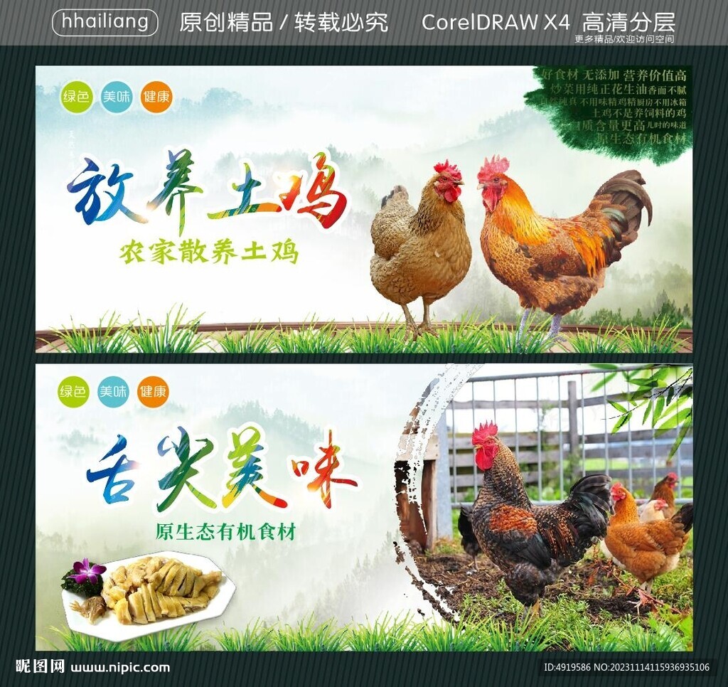 放养土鸡 舌尖美味