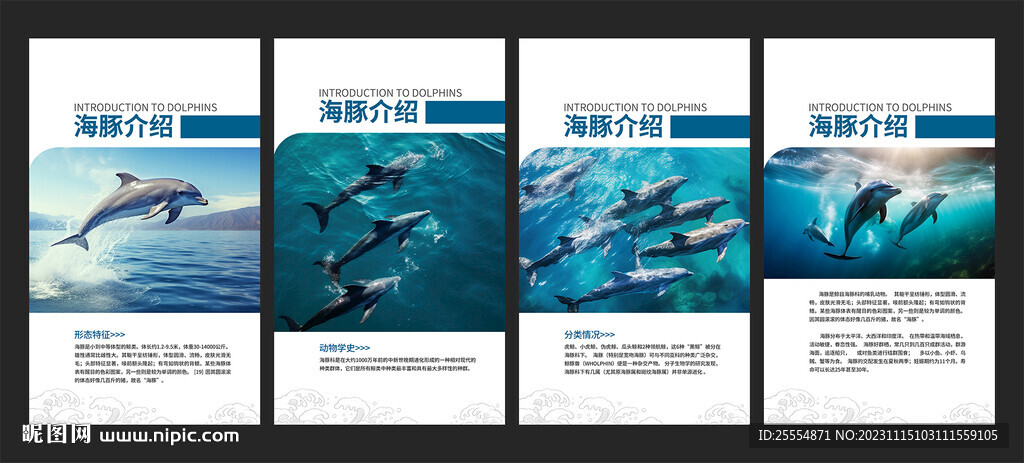  海豚文化墙