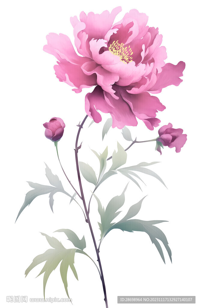 小清新花朵