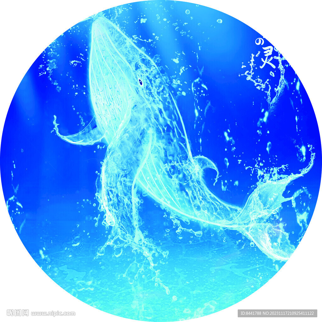 水花 海豚