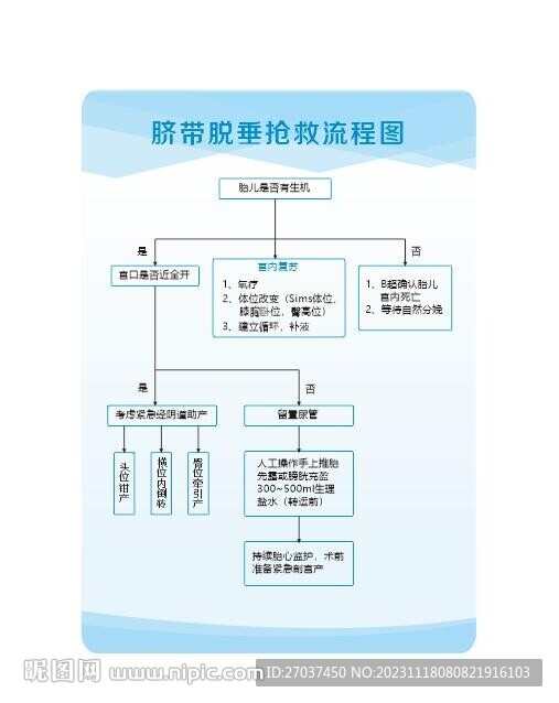 脐带脱垂抢救流程