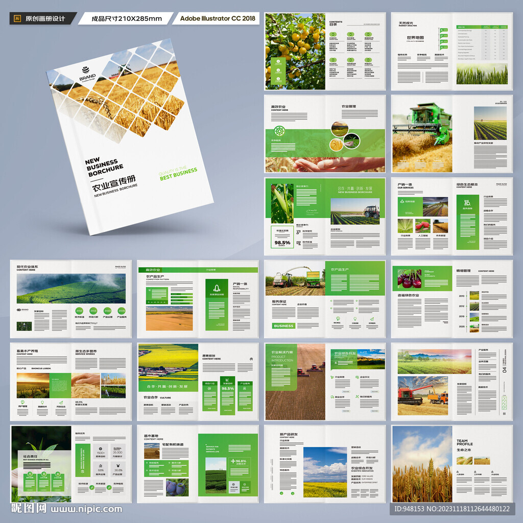 农产品宣传册