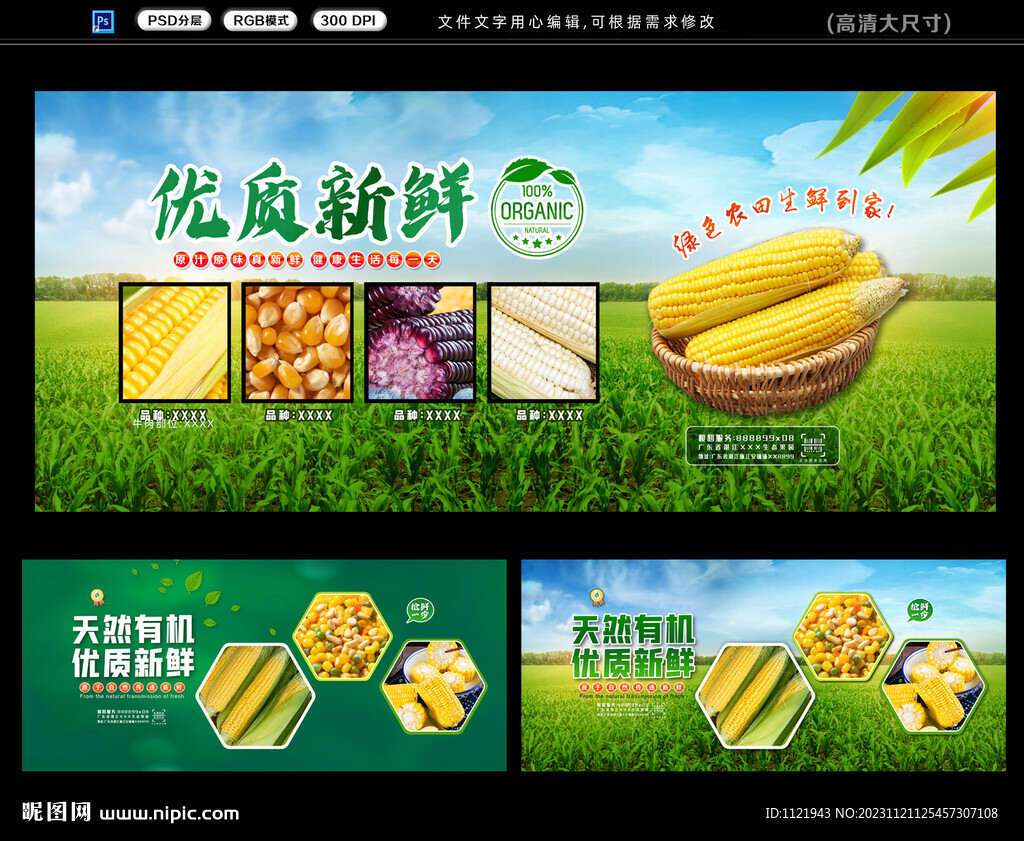 玉米