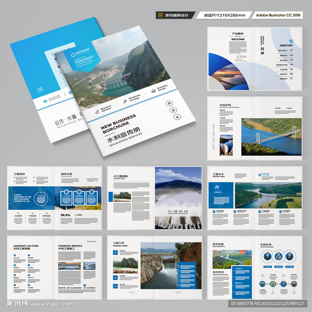 大坝宣传册 