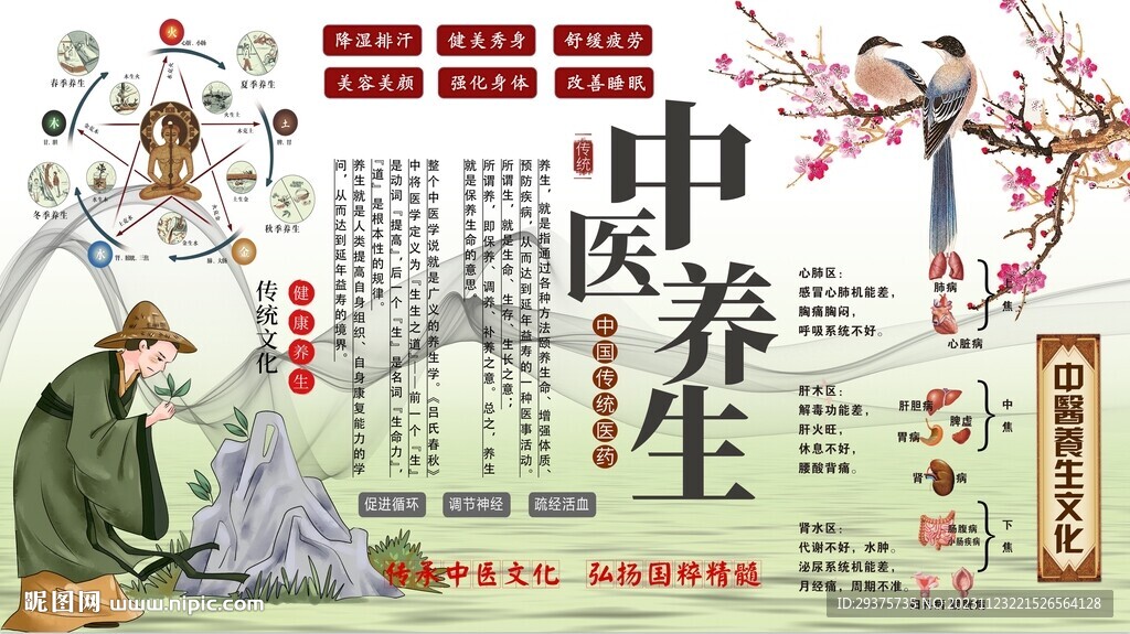 中医养生背景墙