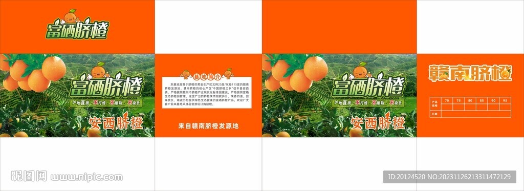 脐橙包装平面图