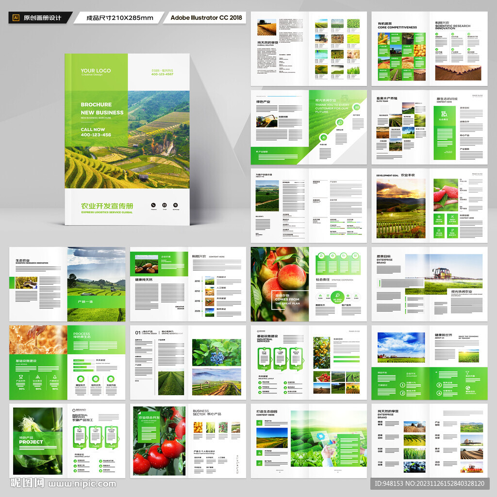 农产品宣传册