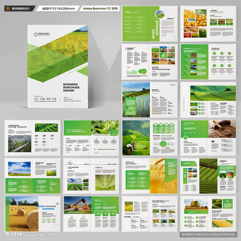 农产品宣传册