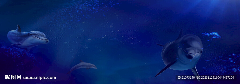 海豚海洋 娱乐会所海报 软膜画