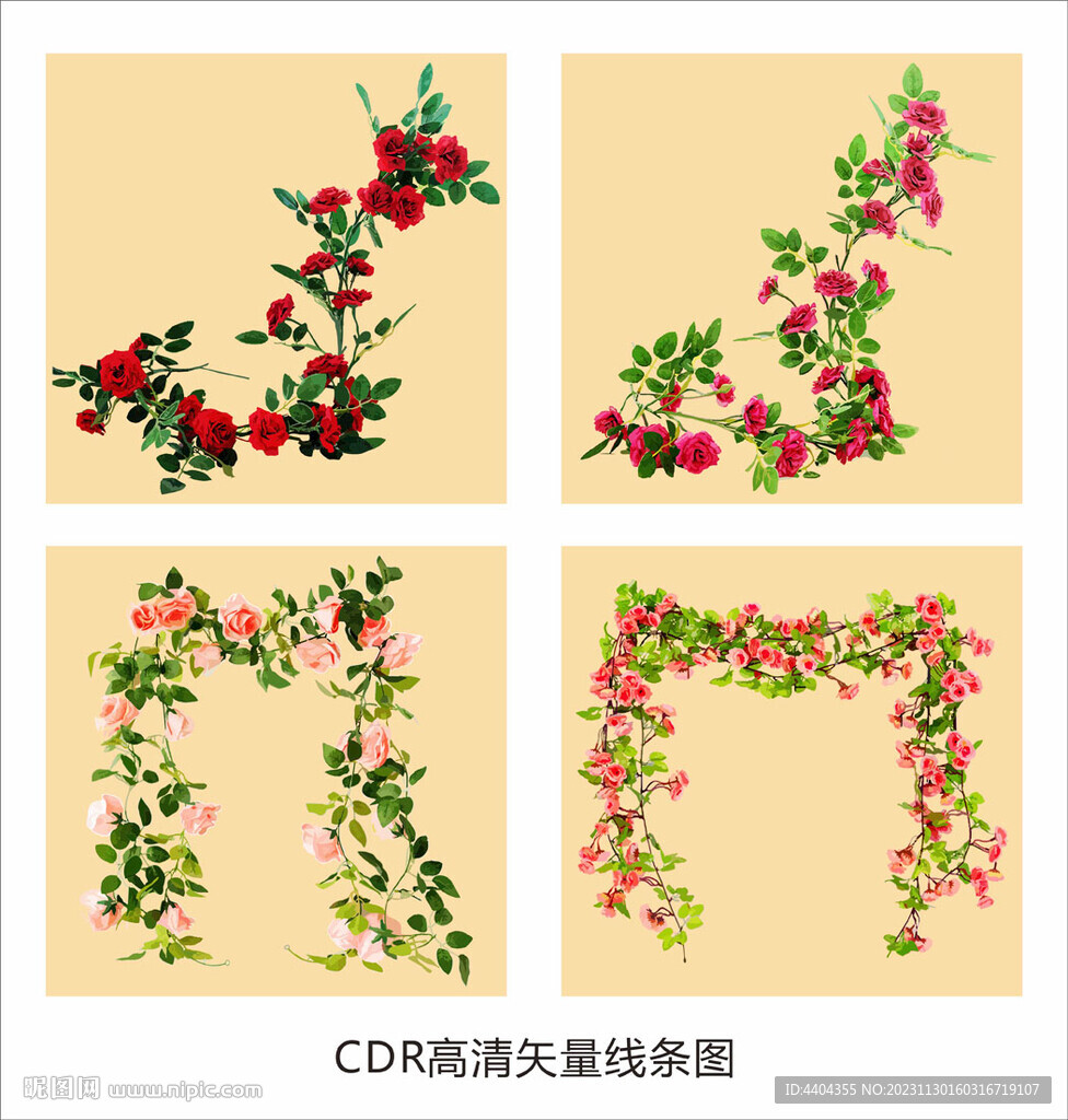 玫瑰花藤