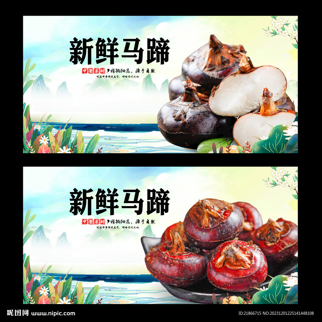 马蹄
