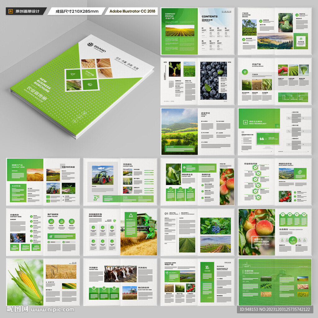 农产品宣传册