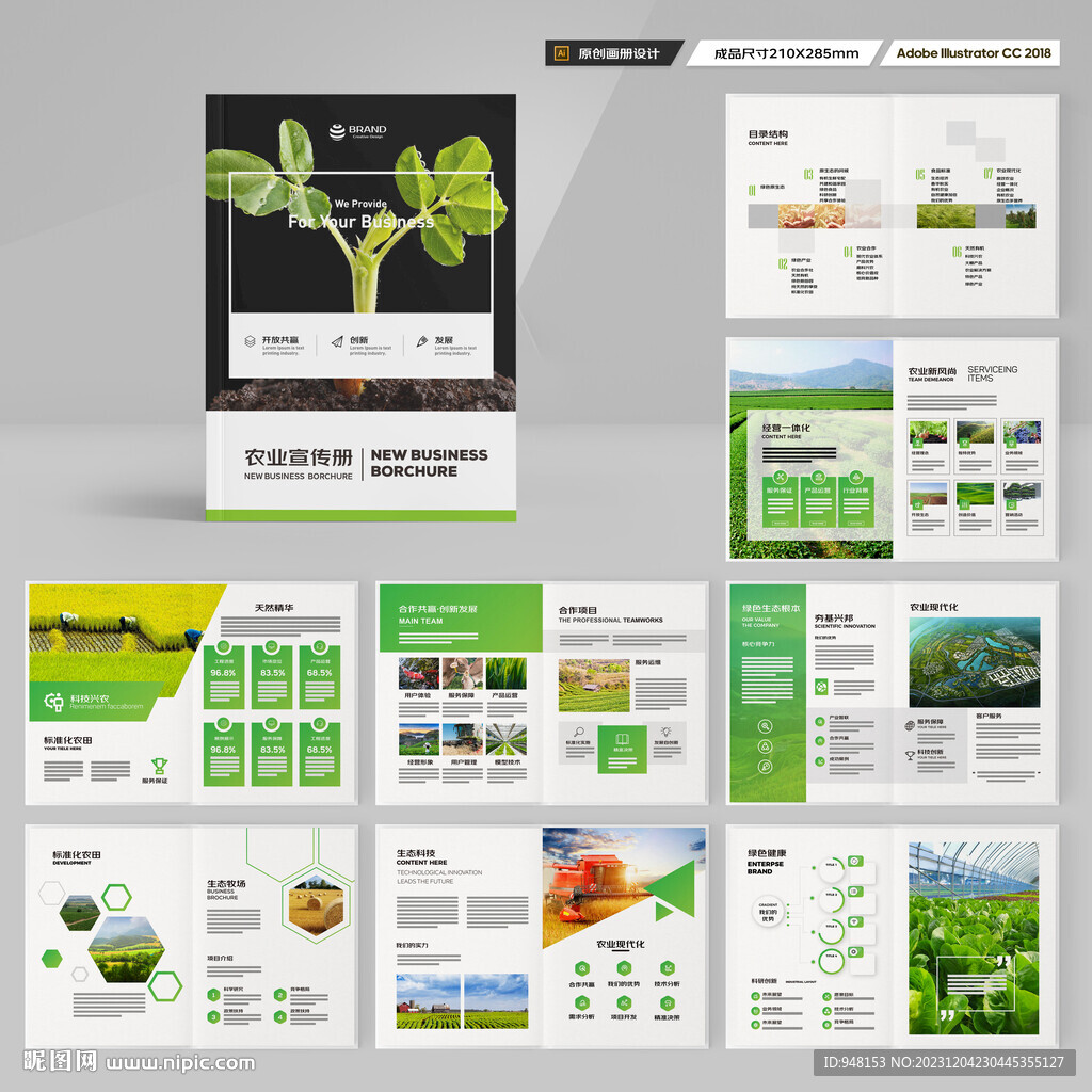 农产品宣传册