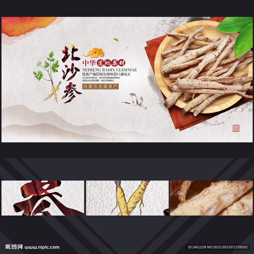 北沙参