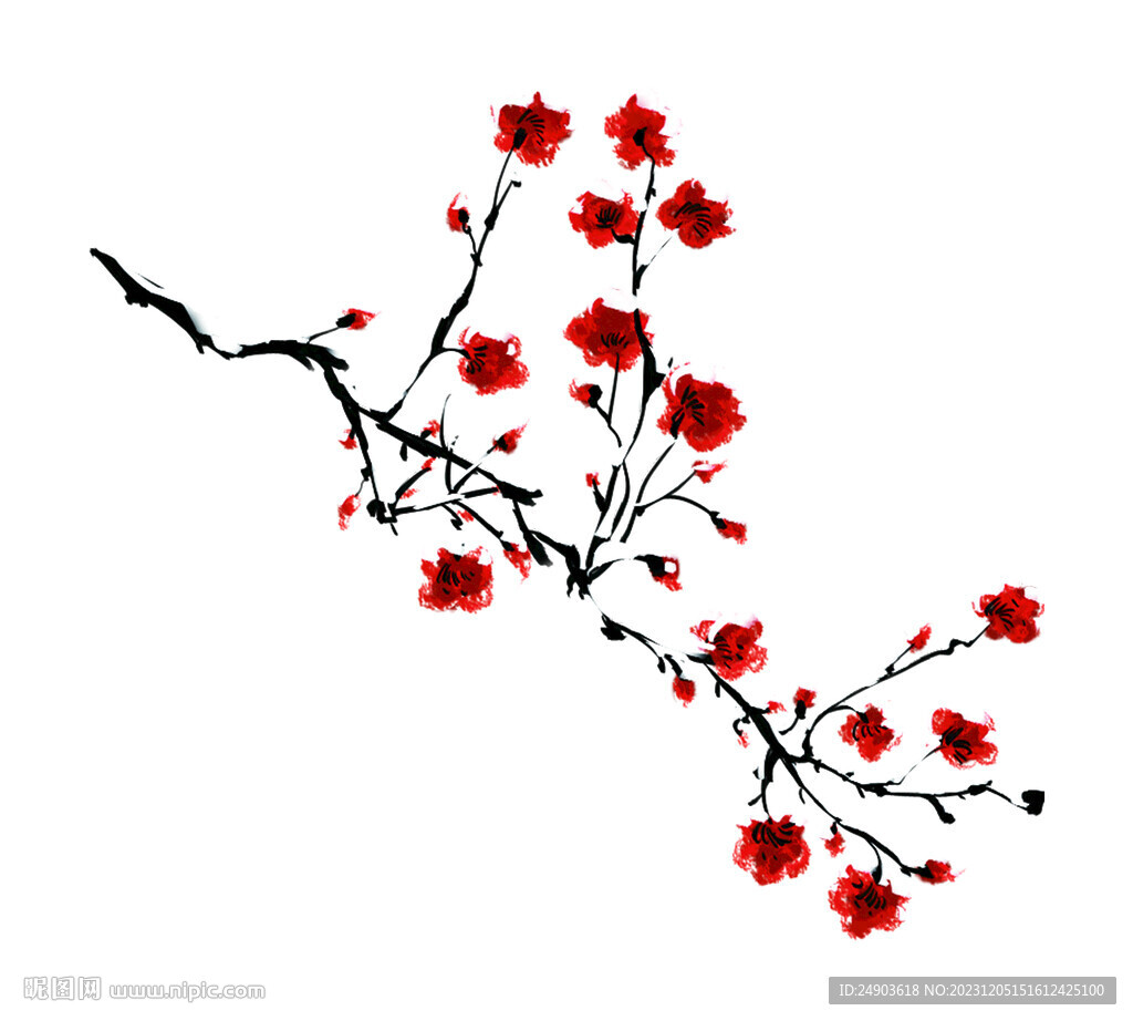 数码梅花