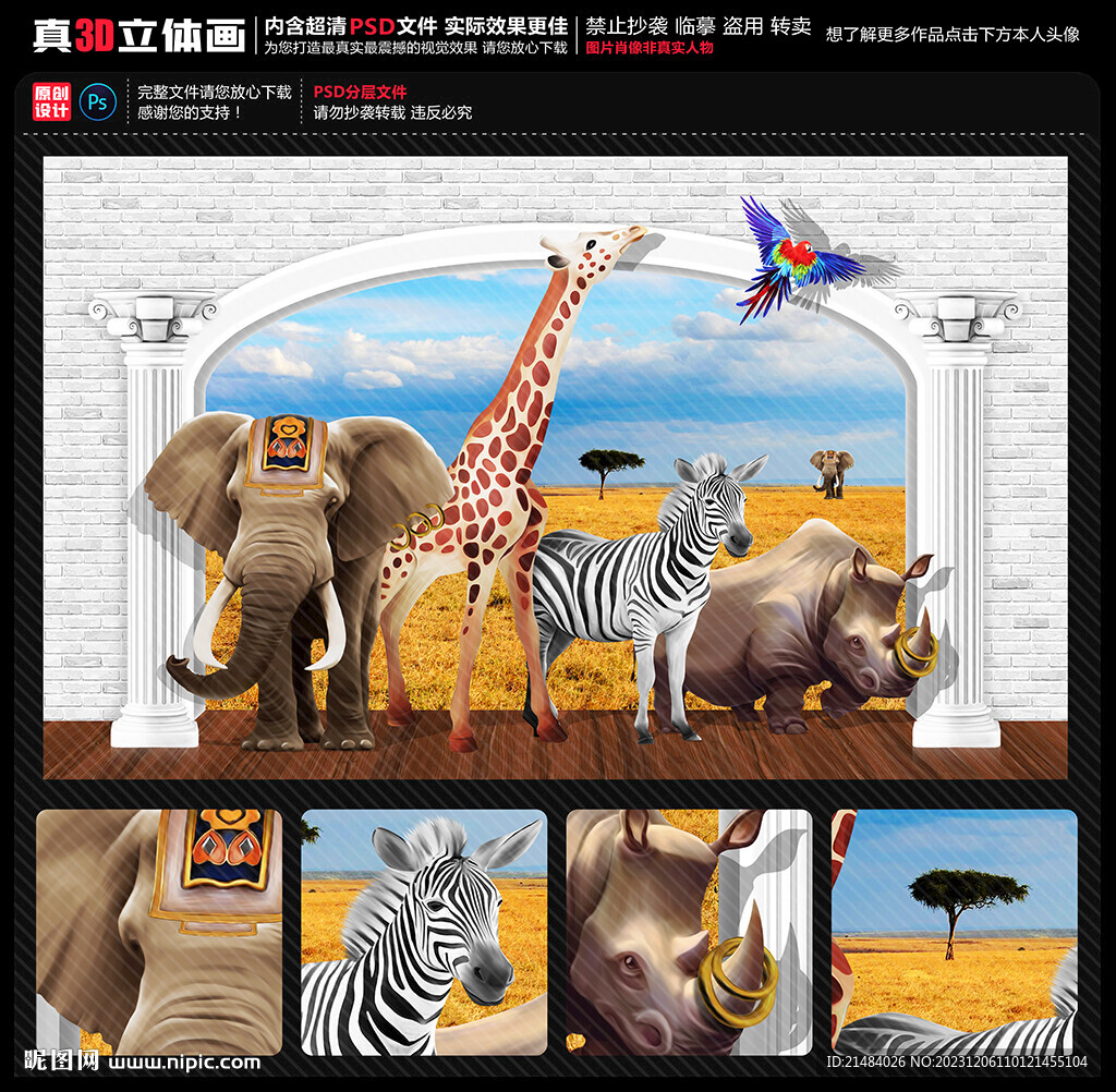 动物世界