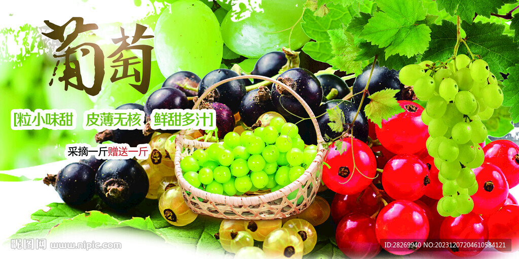 葡萄 