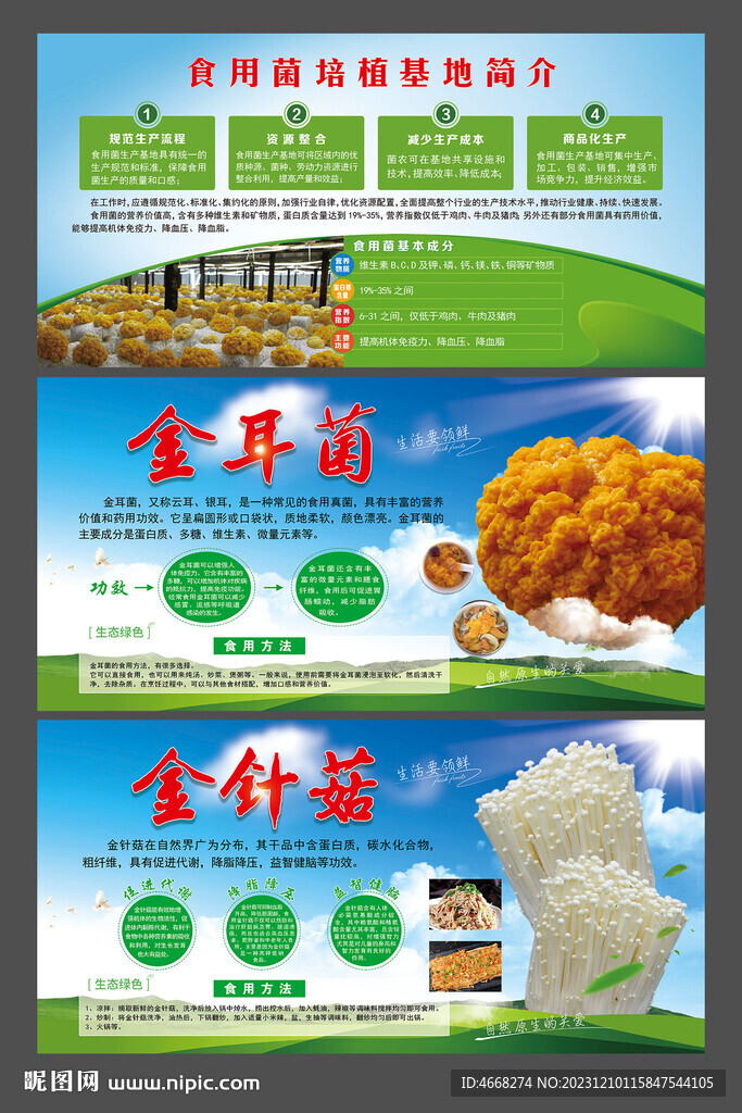 食用菌展板