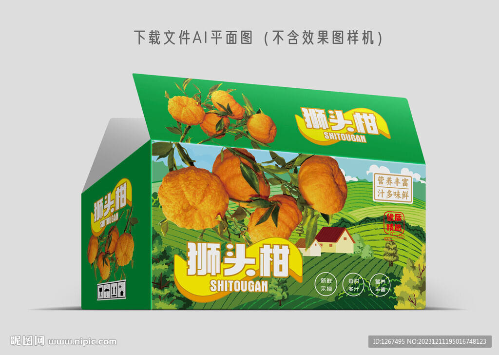 狮头柑彩盒