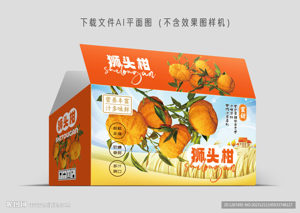 狮头柑礼盒 