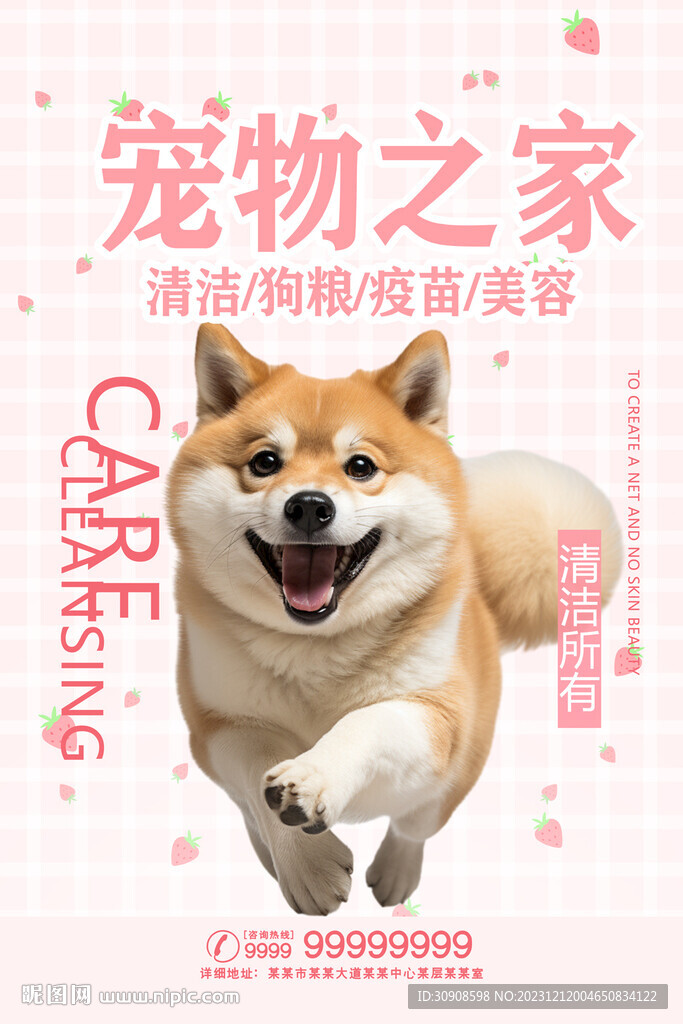 宠物