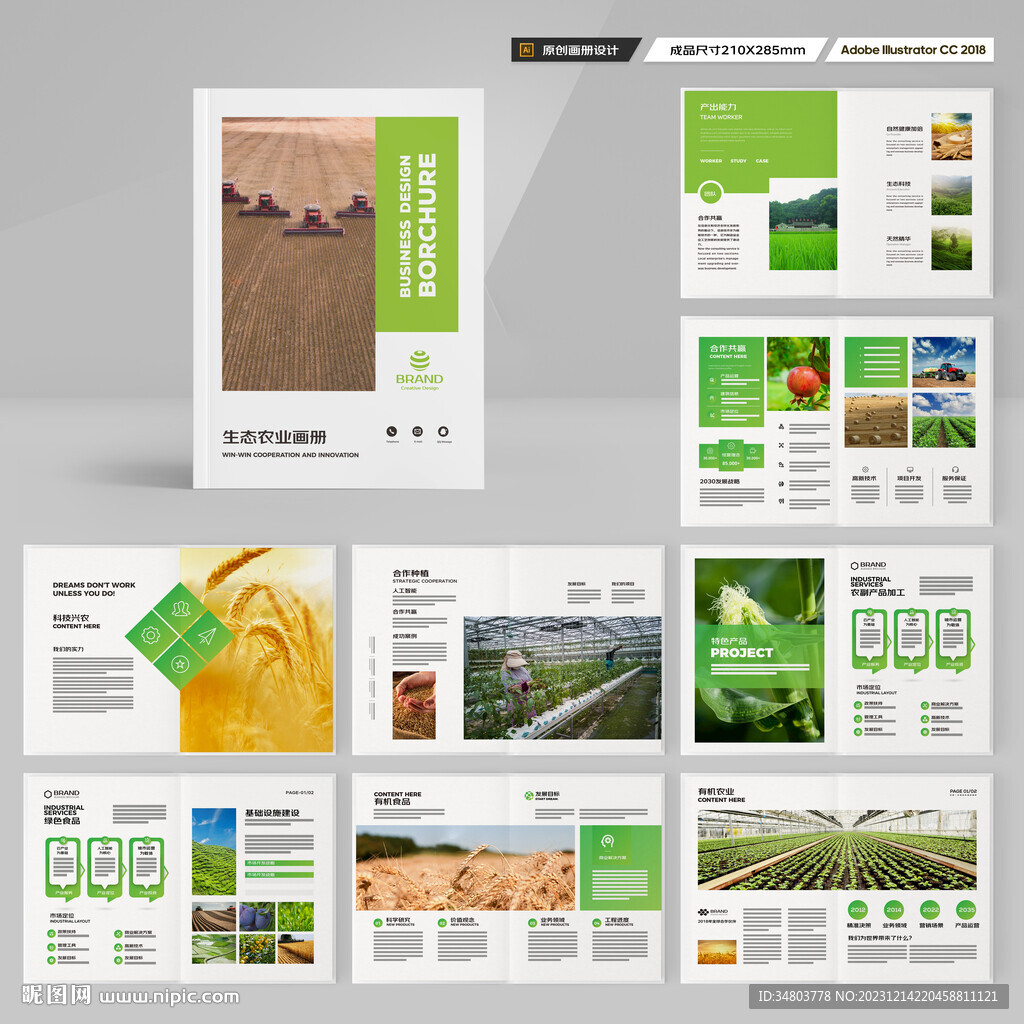 农产品宣传册