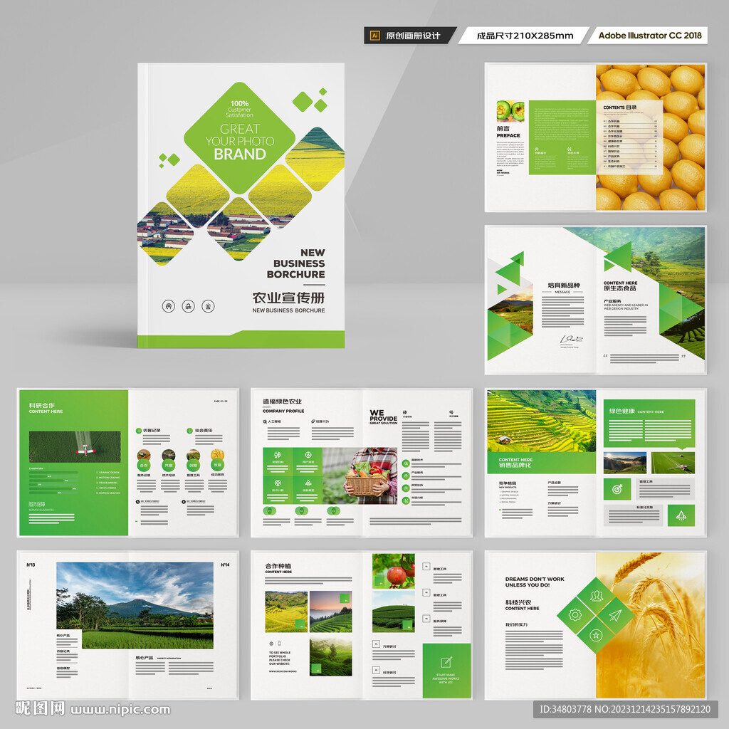 农产品宣传册