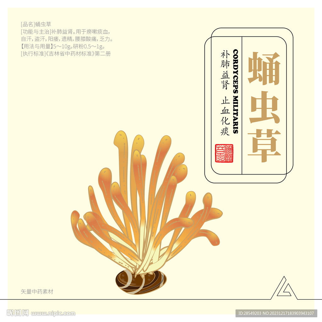 蛹虫草