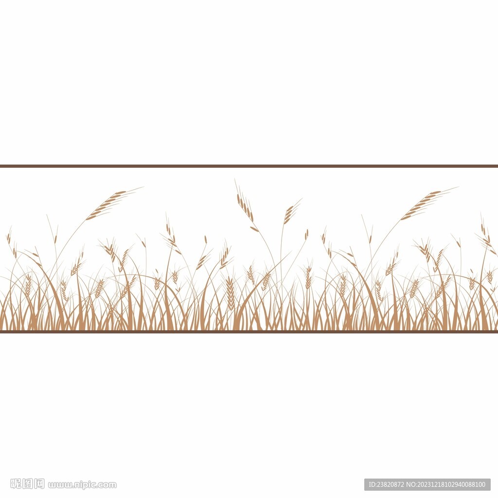 小麦稻草和大麦子腰线稻穗适量图