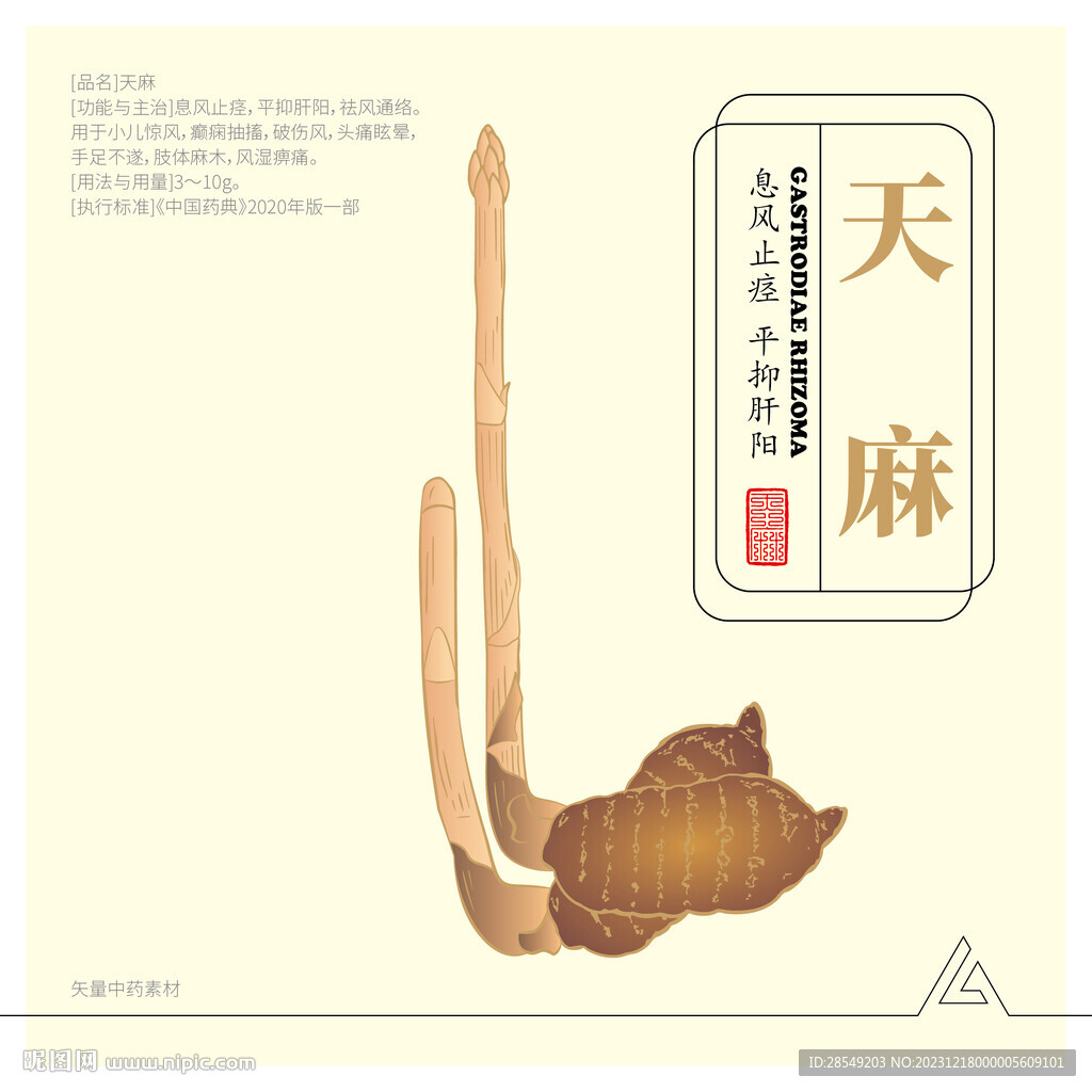 天麻