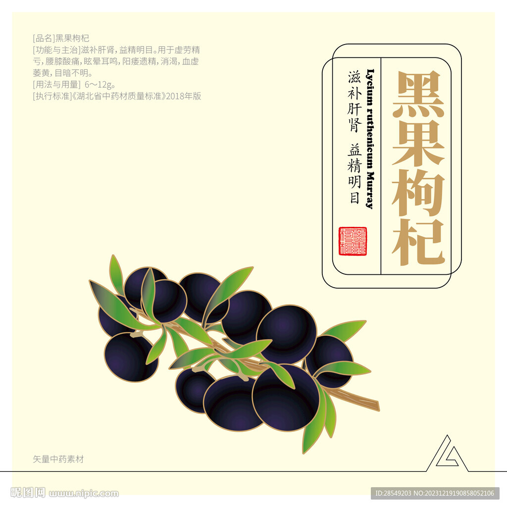 黑枸杞