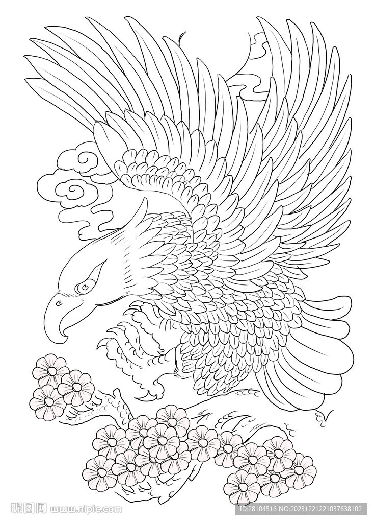 白描老鹰 
